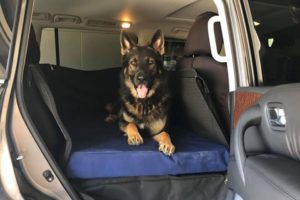 Custom dog car hammock and bed.